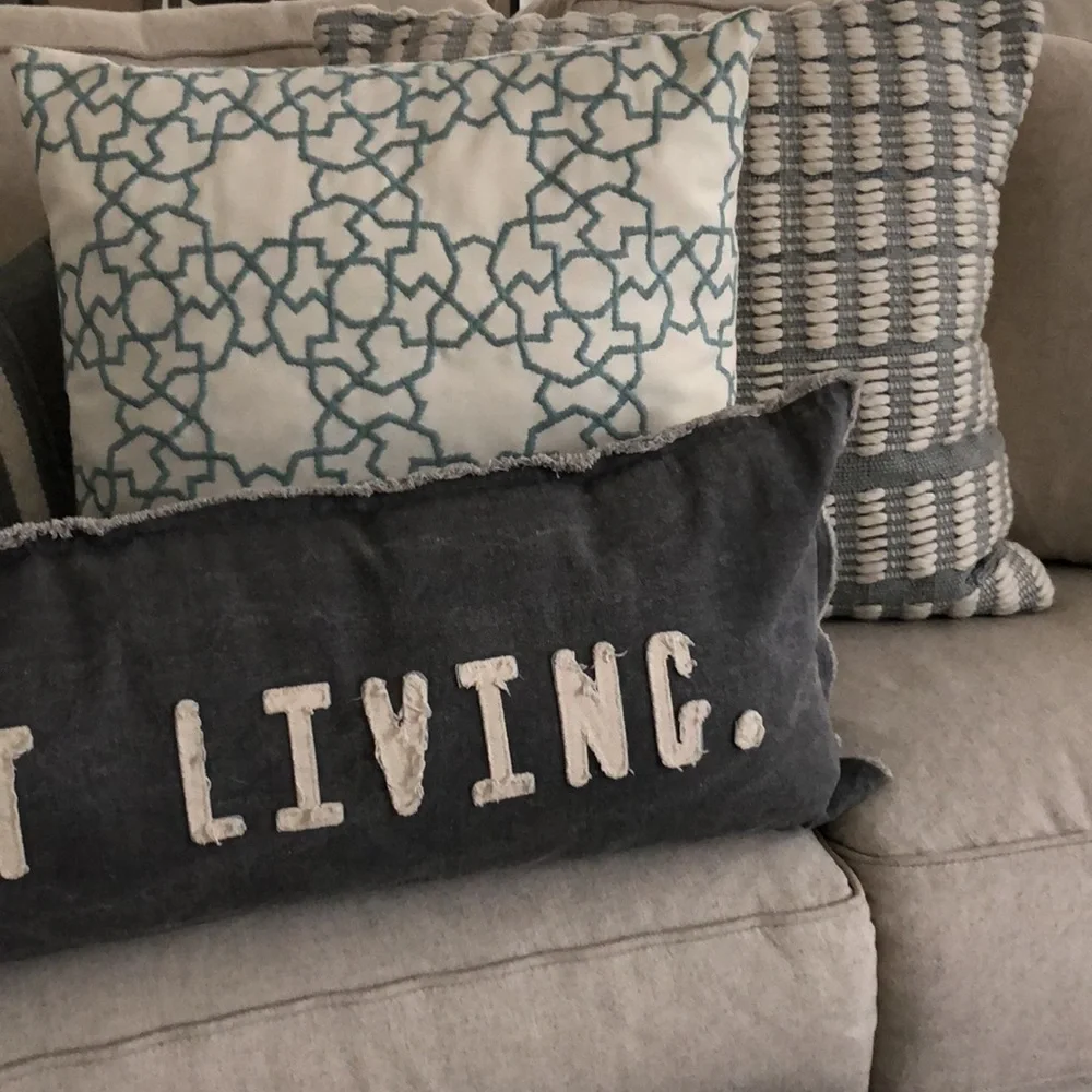 POTTERY BARN PILLOWS